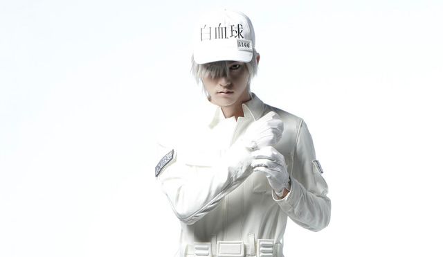 globulo bianco.jpg globulo bianco.jpg